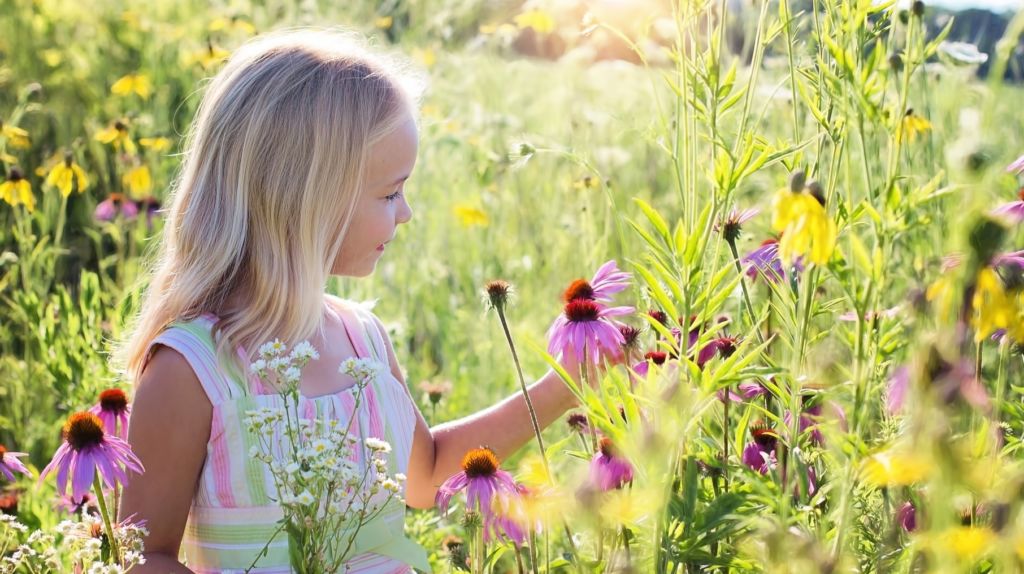 Kleines Mädchen auf Blumenwiese